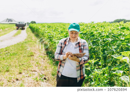 Female Agronomist with tablet inspects sunflower crop in agricultural field. Growing sunflowers in a farmer's field in summer 107620894