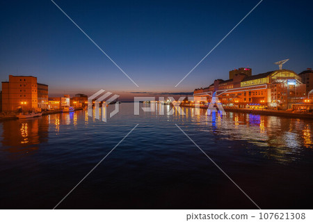 Night view of the doll bridge Night view of the doll bridge 107621308