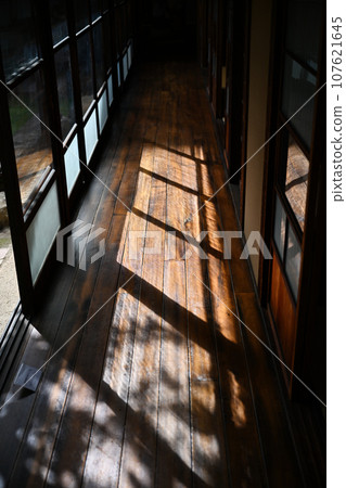 Culture Mochi Tochigikan 107621645