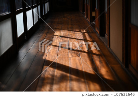 Culture Mochi Tochigikan 107621646