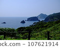 Sea view 107621914
