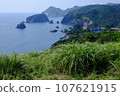 Sea seen from the hill 107621915