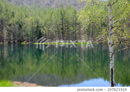 Blue pond 107621916