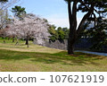 Park with cherry blossoms 107621919