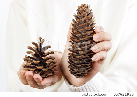 Girl holding pine cones. Woman hand holding pine cone Girl holding pine cones. Woman hand holding pine cone 107621956