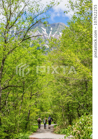 [Nagano Prefecture, Kamikochi] Refreshing fresh green scenery 107622255