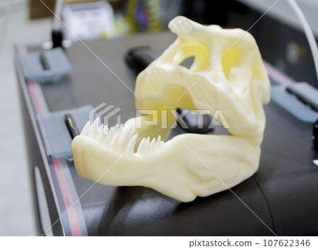 Art object printed on 3D printer. Prototype dinosaur skull head with teeth. Model printed on 3D printer from melted plastic. Object printed close-up. Concept new modern innovation printing technology Art object printed on 3D printer. Prototype dinosaur skull head with teeth. Model printed on 3D printer from melted plastic. Object printed close-up. Concept new modern innovation printing technology 107622346