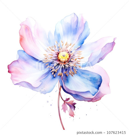 watercolor flower illustration with splashes on a white background. 107623415