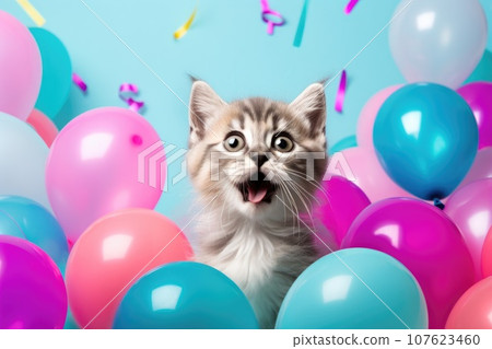 surprised little cat on solid bright background with colorful balloons. surprised little cat on solid bright background with colorful balloons. 107623460