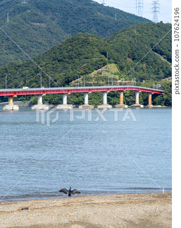 青戶大橋（連接國道27號線和大島半島的犬崎的橋樑）和小浜灣。福井縣大井郡大井町。 （垂直構圖） 107624196