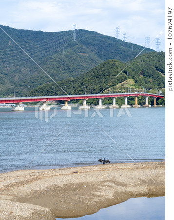 青戶大橋（連接國道27號線和大島半島的犬崎的橋樑）和小浜灣。福井縣大井郡大井町。 （垂直構圖） 107624197
