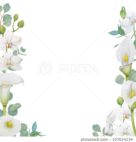 Watercolor frame of white calla lily flowers and eucalyptus. Hand drawn floral illustration for wedding invitations, floristic, beauty salon. Isolated tropical water arum for greeting 107624234