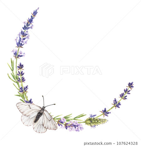 Lavender Wreath with butterfly. Watercolor botanical illustration of purple Flower. Hand drawn round frame border on isolated white background. Template for card with copy space. Water color painting 107624328
