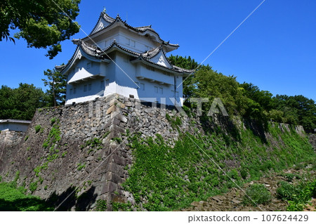 名古屋城39東南角角樓 名古屋城39東南角角樓 107624429