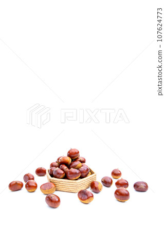 秋天的栗子 木乃裡鼻子 鼻子栗子 木乃裡栗子 秋天的味道 秋天的栗子 木乃裡鼻子 鼻子栗子 木乃裡栗子 秋天的味道 107624773