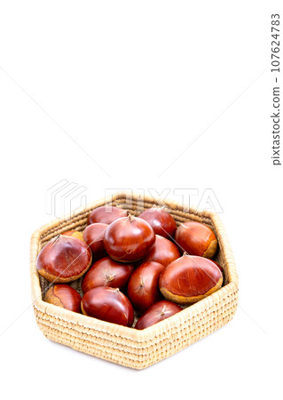 Autumn Chestnut Ginyori Nose Nose Chestnut Ginyori Chestnut Taste of Autumn Autumn Chestnut Ginyori Nose Nose Chestnut Ginyori Chestnut Taste of Autumn 107624783