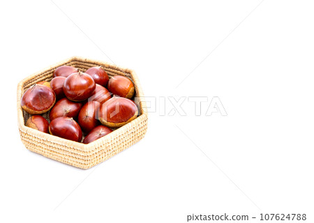 Autumn Chestnut Ginyori Nose Nose Chestnut Ginyori Chestnut Taste of Autumn 107624788