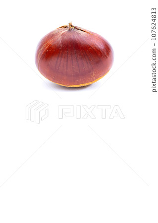 Autumn Chestnut Ginyori Nose Nose Chestnut Ginyori Chestnut Taste of Autumn Autumn Chestnut Ginyori Nose Nose Chestnut Ginyori Chestnut Taste of Autumn 107624813