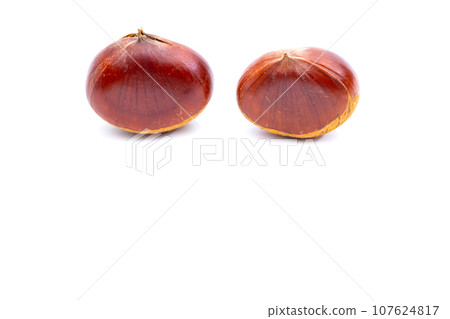 Autumn Chestnut Ginyori Nose Nose Chestnut Ginyori Chestnut Taste of Autumn Autumn Chestnut Ginyori Nose Nose Chestnut Ginyori Chestnut Taste of Autumn 107624817