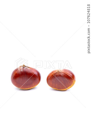 Autumn Chestnut Ginyori Nose Nose Chestnut Ginyori Chestnut Taste of Autumn Autumn Chestnut Ginyori Nose Nose Chestnut Ginyori Chestnut Taste of Autumn 107624818