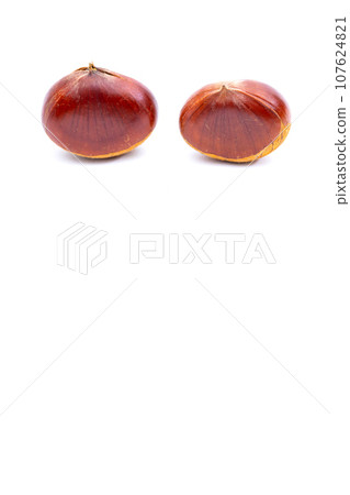 秋天的栗子 木乃裡鼻子 鼻子栗子 木乃裡栗子 秋天的味道 107624821