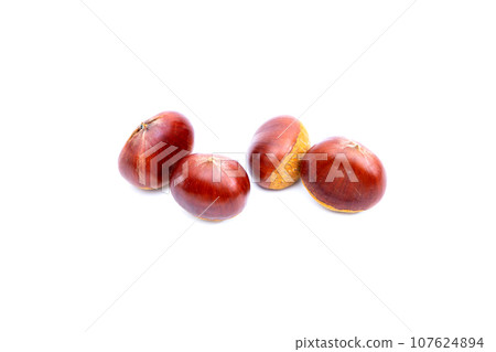 Autumn Chestnut Ginyori Nose Nose Chestnut Ginyori Chestnut Taste of Autumn 107624894