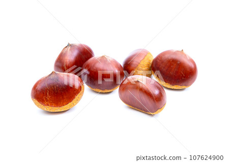 Autumn Chestnut Ginyori Nose Nose Chestnut Ginyori Chestnut Taste of Autumn Autumn Chestnut Ginyori Nose Nose Chestnut Ginyori Chestnut Taste of Autumn 107624900