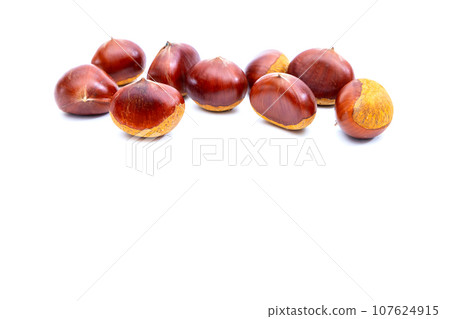 Autumn Chestnut Ginyori Nose Nose Chestnut Ginyori Chestnut Taste of Autumn Autumn Chestnut Ginyori Nose Nose Chestnut Ginyori Chestnut Taste of Autumn 107624915