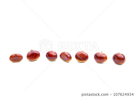 Autumn Chestnut Ginyori Nose Nose Chestnut Ginyori Chestnut Taste of Autumn Autumn Chestnut Ginyori Nose Nose Chestnut Ginyori Chestnut Taste of Autumn 107624934