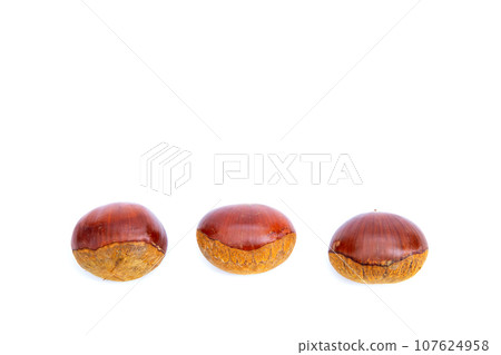 Autumn Chestnut Ginyori Nose Nose Chestnut Ginyori Chestnut Taste of Autumn Autumn Chestnut Ginyori Nose Nose Chestnut Ginyori Chestnut Taste of Autumn 107624958