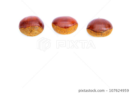 Autumn Chestnut Ginyori Nose Nose Chestnut Ginyori Chestnut Taste of Autumn Autumn Chestnut Ginyori Nose Nose Chestnut Ginyori Chestnut Taste of Autumn 107624959