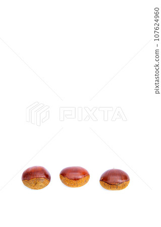 Autumn Chestnut Ginyori Nose Nose Chestnut Ginyori Chestnut Taste of Autumn Autumn Chestnut Ginyori Nose Nose Chestnut Ginyori Chestnut Taste of Autumn 107624960