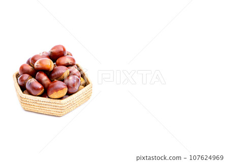 Autumn Chestnut Ginyori Nose Nose Chestnut Ginyori Chestnut Taste of Autumn Autumn Chestnut Ginyori Nose Nose Chestnut Ginyori Chestnut Taste of Autumn 107624969