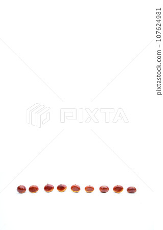 Autumn Chestnut Ginyori Nose Nose Chestnut Ginyori Chestnut Taste of Autumn Autumn Chestnut Ginyori Nose Nose Chestnut Ginyori Chestnut Taste of Autumn 107624981
