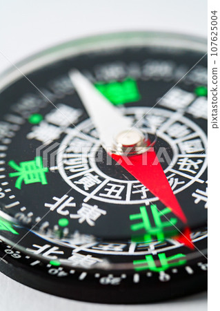 Directional magnet 107625004