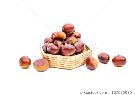 秋天的栗子 木乃裡鼻子 鼻子栗子 木乃裡栗子 秋天的味道 秋天的栗子 木乃裡鼻子 鼻子栗子 木乃裡栗子 秋天的味道 107625080