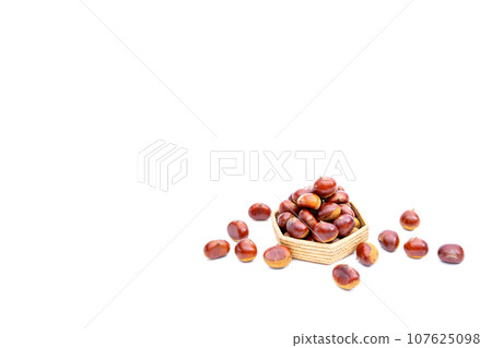 秋天的栗子 木乃裡鼻子 鼻子栗子 木乃裡栗子 秋天的味道 秋天的栗子 木乃裡鼻子 鼻子栗子 木乃裡栗子 秋天的味道 107625098