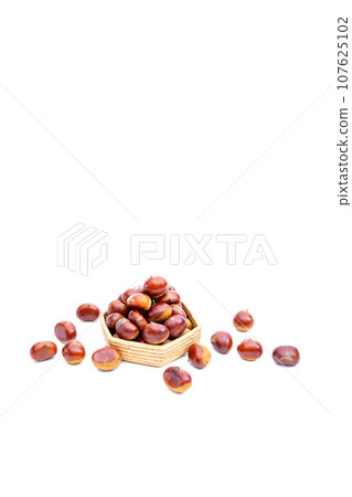 Autumn Chestnut Ginyori Nose Nose Chestnut Ginyori Chestnut Taste of Autumn Autumn Chestnut Ginyori Nose Nose Chestnut Ginyori Chestnut Taste of Autumn 107625102