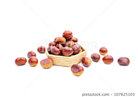 秋天的栗子 木乃裡鼻子 鼻子栗子 木乃裡栗子 秋天的味道 107625103