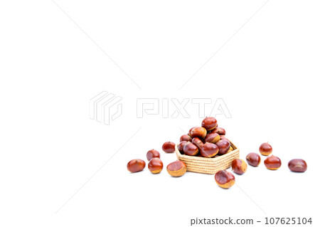 秋天的栗子 木乃裡鼻子 鼻子栗子 木乃裡栗子 秋天的味道 秋天的栗子 木乃裡鼻子 鼻子栗子 木乃裡栗子 秋天的味道 107625104