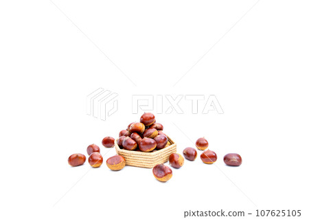 秋天的栗子 木乃裡鼻子 鼻子栗子 木乃裡栗子 秋天的味道 107625105