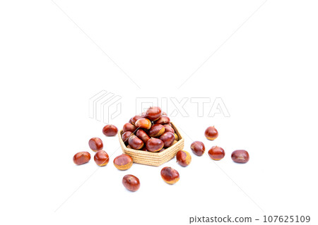 秋天的栗子 木乃裡鼻子 鼻子栗子 木乃裡栗子 秋天的味道 107625109