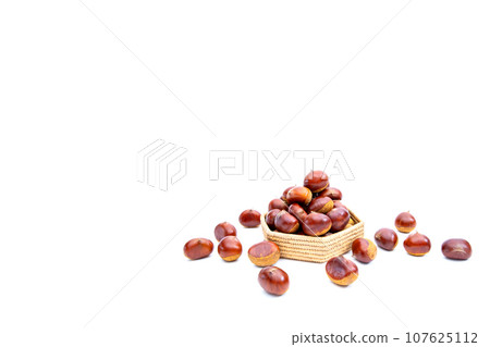 Autumn Chestnut Ginyori Nose Nose Chestnut Ginyori Chestnut Taste of Autumn Autumn Chestnut Ginyori Nose Nose Chestnut Ginyori Chestnut Taste of Autumn 107625112