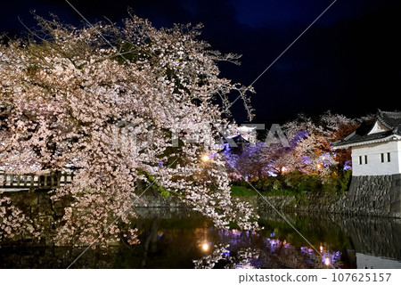 Kanto region, Odawara Castle, cherry blossoms at night, weeping cherry blossoms and castle tower with beautiful water mirrors seen from Ohoribata Street, Odawara City, Kanagawa Prefecture ()5 Kanto region, Odawara Castle, cherry blossoms at night, weeping cherry blossoms and castle tower with beautiful water mirrors seen from Ohoribata Street, Odawara City, Kanagawa Prefecture ()5 107625157