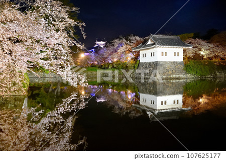 Kanto region, Odawara Castle, cherry blossoms at night, weeping cherry blossoms and castle tower with beautiful water mirrors seen from Ohoribata Street, Odawara City, Kanagawa Prefecture (25) Kanto region, Odawara Castle, cherry blossoms at night, weeping cherry blossoms and castle tower with beautiful water mirrors seen from Ohoribata Street, Odawara City, Kanagawa Prefecture (25) 107625177