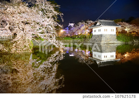 Kanto region, Odawara Castle, cherry blossoms at night, weeping cherry blossoms and castle tower with beautiful water mirrors seen from Ohoribata Street, Odawara City, Kanagawa Prefecture (26) 107625178
