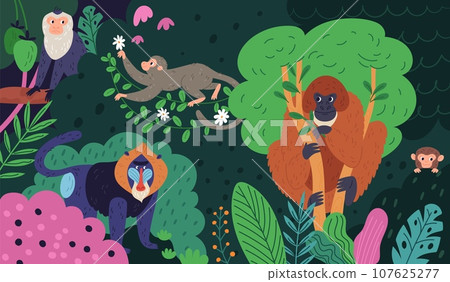 Monkeys in jungle. Funny cartoon animal characters in colorful tropical forest. Exotic primates different breeds. Rainforest foliage. Chimpanzee on tree branch. Garish vector concept Monkeys in jungle. Funny cartoon animal characters in colorful tropical forest. Exotic primates different breeds. Rainforest foliage. Chimpanzee on tree branch. Garish vector concept 107625277
