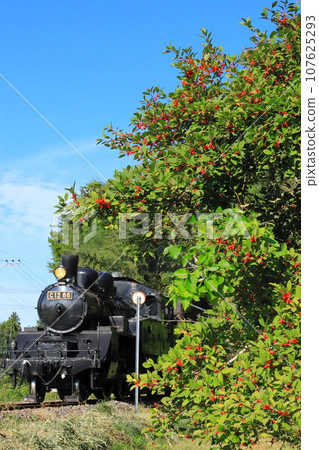 Moka Railway “Red nuts and steam locomotives that shine against the blue sky” 107625293