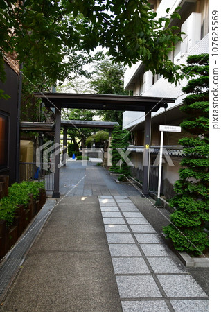 Kobayashi Castle 4 when clean 107625569