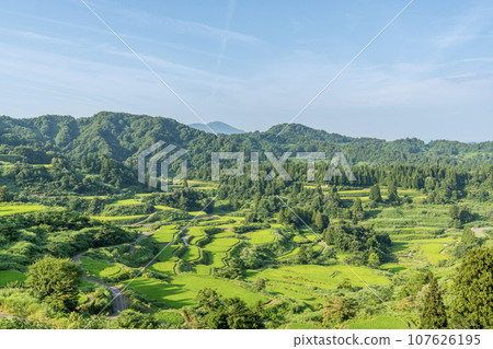 新潟縣十日町市，夏季星峠美麗的綠色梯田 107626195